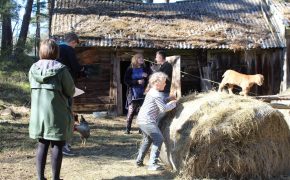 Piektdienās – lībieši un lībiešu valoda