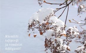 Ziemassvētku gaidīšana. Taļšpivād vȯdlimi